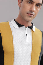 mens cotton polo t shirt striped casual wear India